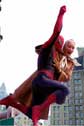 Spiderman swings Aunt May to safety